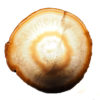 Agate Night Lights J878 2 Agate Night Lights J878 | Himalayan Salt Factory