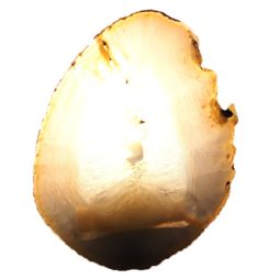 Agate Night Lights J888 | Himalayan Salt Factory