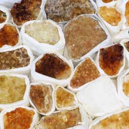 Citrine Tray - 24 Piece 6 Citrine Tray | Himalayan Salt Factory