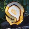 0.26Kg Natural Agate Plate J838 1 Natural Agate Plate J838 | Himalayan Salt Factory