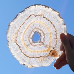 Natural Agate Plate J839 | Himalayan Salt Factory