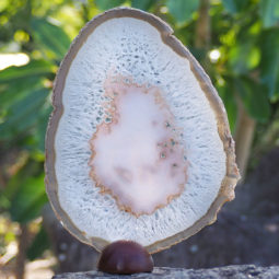 0.48Kg Natural Agate Plate J846 5 Natural Agate Plate J846 | Himalayan Salt Factory