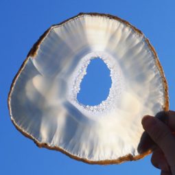 Natural Agate Plate J862 | Himalayan Salt Factory
