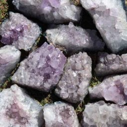 10kg Amethyst Rough Crystal with Terminated Point - S661 | Himalayan Salt Factory