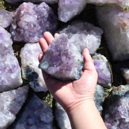 10kg Amethyst Rough Crystal with Terminated Point Parcel - S662 7 10kg Amethyst Rough Crystal with Terminated Point - S662 | Himalayan Salt Factory