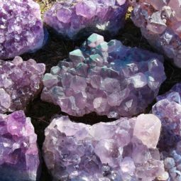 10kg Amethyst Rough Crystal with Terminated Point - S697 | Himalayan Salt Factory
