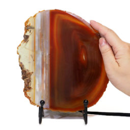 Sliced Brazilian Crystal Agate Lamp S559 9 Sliced Brazilian Crystal Agate Lamp S559 | Himalayan Salt Factory
