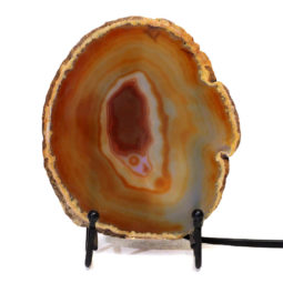 Sliced Brazilian Crystal Agate Lamp S562 | Himalayan Salt Factory