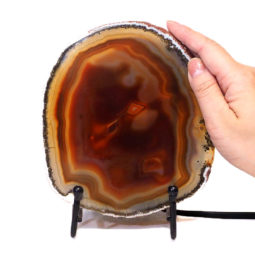 Sliced Brazilian Crystal Agate Lamp S571 | Himalayan Salt Factory