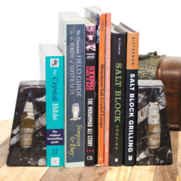 Ancient Fossil Orthoceras Bookend | Himalayan Salt Factory