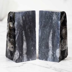 Ancient Fossil Orthoceras Bookends | Himalayan Salt Factory