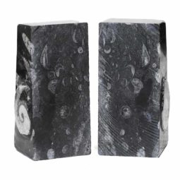 Ancient Fossil Orthoceras Bookends - Ammonite | Himalayan Salt Factory