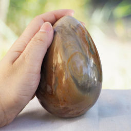 Madagascar Agate Polished Egg DS341 | Himalayan Salt Factory
