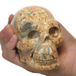 Natural Crystal Jasper Hand Carved Skull DJ1463 | Himalayan Salt Factory