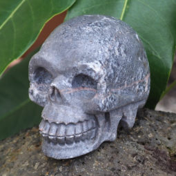 Natural Crystal Jasper Hand Carved Skull DJ1464 | Himalayan Salt Factory