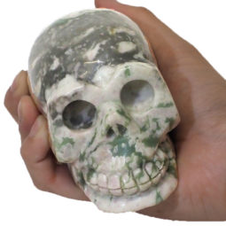 Natural Crystal Jasper Hand Carved Skull DJ1465 | Himalayan Salt Factory