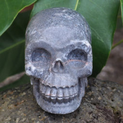Natural Crystal Jasper Hand Carved Skull DJ1464 | Himalayan Salt Factory
