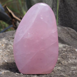 Rose Quartz Polished Altar Stone DJ1481 | Himalayan Salt Factoryy