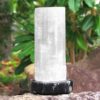 Selenite Lamp with Ancient Fossil Orthoceras Base 20cm | Himalayan Salt Factory