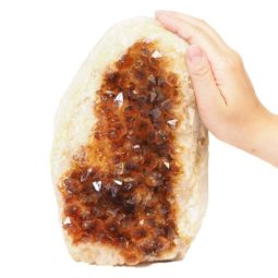 4.4kg Natural Citrine Crystal Lamp DS496 7 Natural Citrine Crystal Lamp DS496 | Himalayan Salt Factory