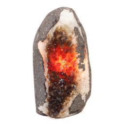 2.0kg Natural Citrine Crystal Lamp DS499 6 Natural Citrine Crystal Lamp DS499 | Himalayan Salt Factory