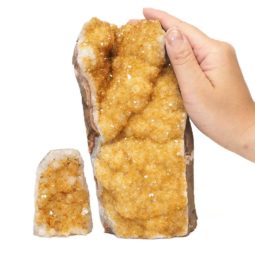 Natural Citrine Geode Specimen Set 2 Pieces S690 | Himalayan Salt Factory