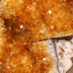 Citrine Crystal Geode Specimen Set 2 Pieces P279 | Himalayan Salt Factory