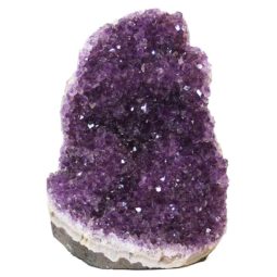 Citrine Crystal Geode Specimen Set N120 | Himalayan Salt Factory