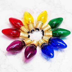 10 Colour Bulb Package Deal (12V-12W) 10 10 Colour Bulb Package Deal (12V-12W) | Himalayan Salt Factory