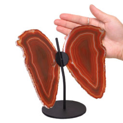 Agate Crystal Butterfly Slices on Metal Stand N359 | Himalayan Salt Factory