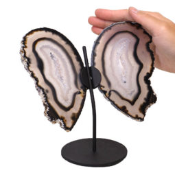 Agate Crystal Butterfly Slices on Metal Stand N360 | Himalayan Salt Factory