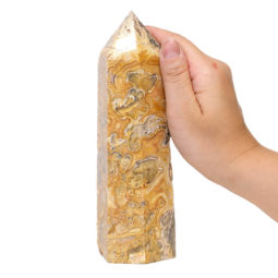 Crazy Lace Agate Terminated Point DS681 | Himalayan Salt Factory