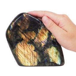 Natural Labradorite Polished Self Stand DS717 | Himalayan Salt Factory
