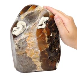 Natural River Agate Crystal Lamp S903 7 Natural River Agate Crystal Lamp S903 | Himalayan Salt Factory