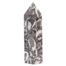 Seashell Fossil Terminated Point DS682 6 Seashell Fossil Terminated Point DS682 | Himalayan Salt Factory