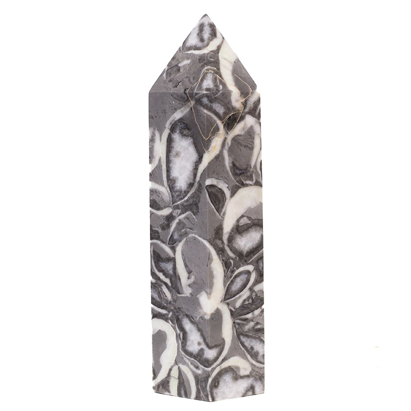 Seashell Fossil Terminated Point DS682 4 Seashell Fossil Terminated Point DS682 | Himalayan Salt Factory