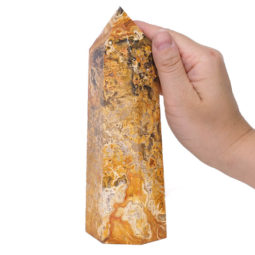 Crazy Lace Agate Terminated Point - Large DS728 | Himalayan Salt Factory