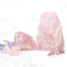 March Deal | Himalayan Salt Factory