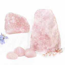 March Deal | Himalayan Salt Factory