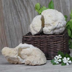 Natural Calcite Geode Pair – 2 Small Geodes Set N484 | Himalayan Salt Factory