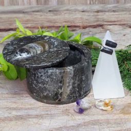 Ancient Fossil Jewelry Box Crystal Pack | Himalayan Salt Factory