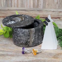 Ancient Fossil Jewelry Box Crystal Pack | Himalayan Salt Factory