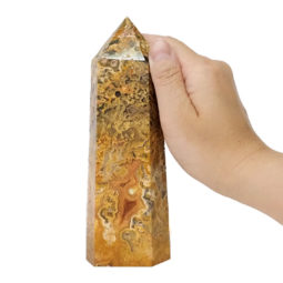 Crazy Lace Agate Terminated Point DS826 | Himalayan Salt Factory