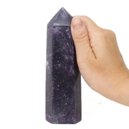 Lepidolite Terminated Point DS869 | Himalayan Salt Factory