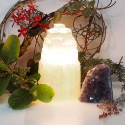 Sept Deal 6 Sept Deal | Himalayan Salt Factory