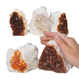2.06kg Citrine Mini Cluster Specimen Set 5 Pieces N624 5 Citrine Mini Cluster Specimen Set N624 | Himalayan Salt Factory