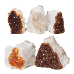 Citrine Mini Cluster Specimen Set N624 | Himalayan Salt Factory