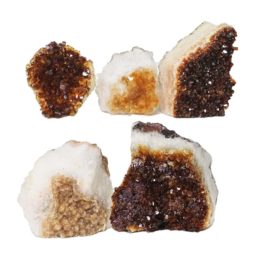 Citrine Mini Cluster Specimen Set N625 | Himalayan Salt Factory