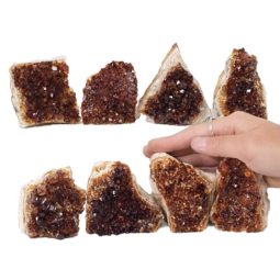 1.93kg Citrine Mini Cluster Specimen Set 8 Pieces N628 5 Citrine Mini Cluster Specimen Set N628 | Himalayan Salt Factory