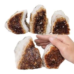 2.04kg Citrine Mini Cluster Specimen Set 5 Pieces N634 5 Citrine Mini Cluster Specimen Set N634 | Himalayan Salt Factory